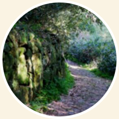 茅岭古道